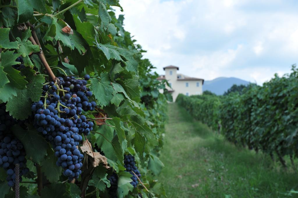 Cincinnato Wine Resort Cori エクステリア 写真